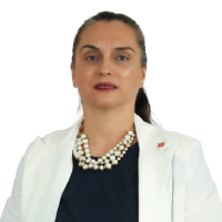 HE Professor Leila Chikhaoui Mahdaoui