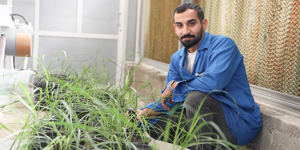 Sohar University participates in the “Blue Harvest” international research project